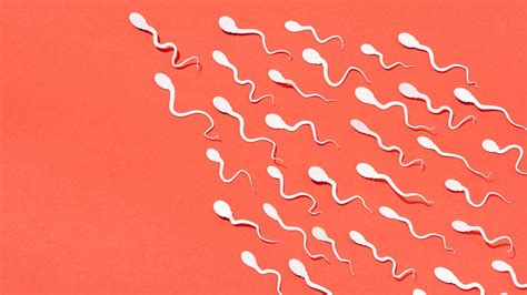 13 Facts About Semen and Sperm: Composition, .